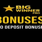 Bigwinner pro bonuses