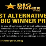 Alternatives to Big Winner Pro