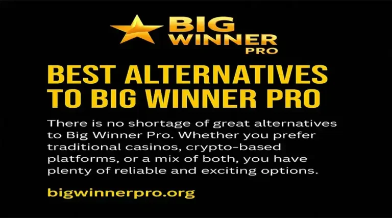 bigwinner pro