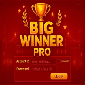 Big Winner Pro Login